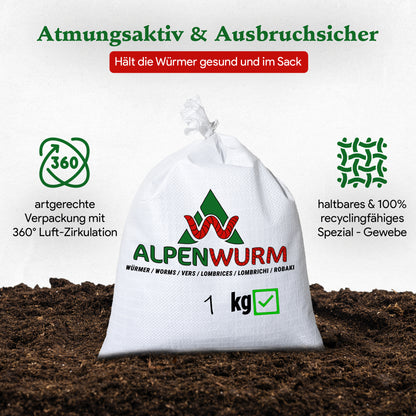 Futterwürmer - Dendrobena (mit Größen - Auswahl)