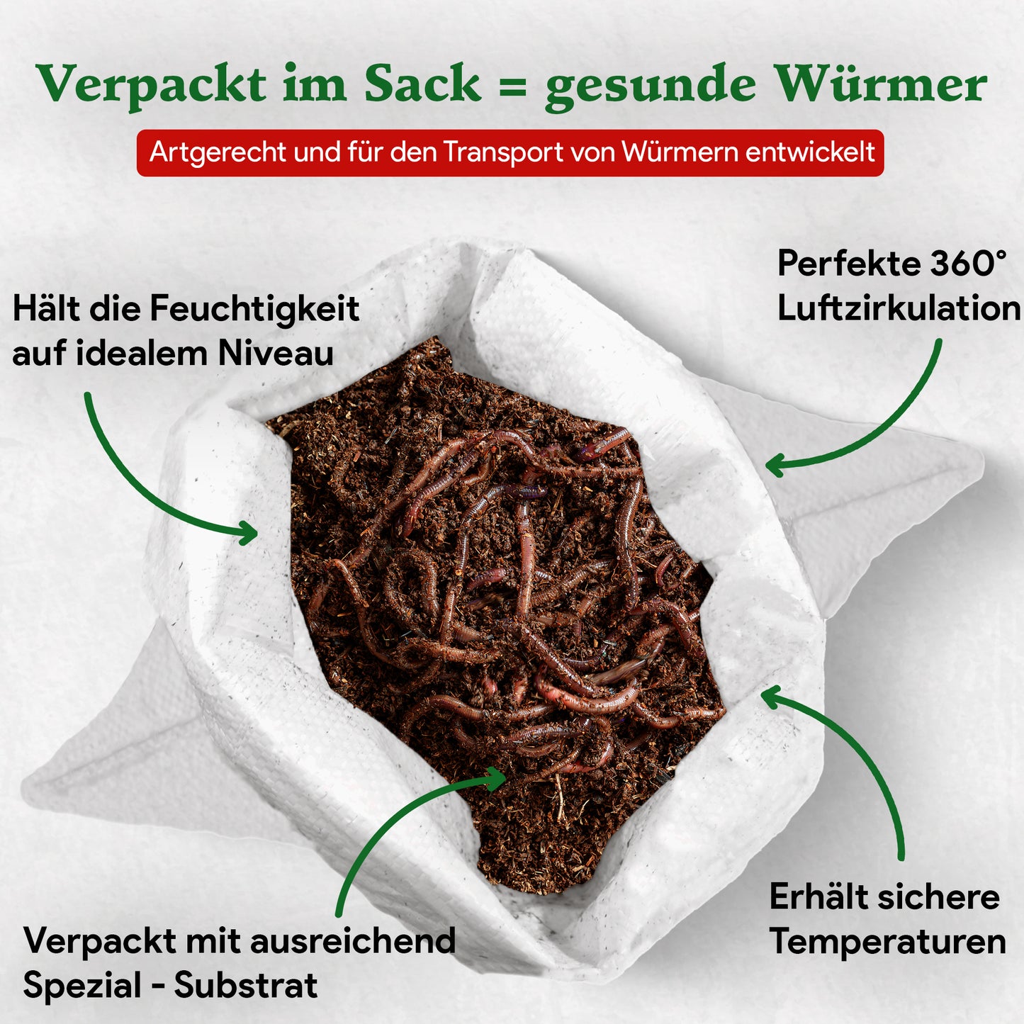 Kompostwürmer - Eisenia Mix