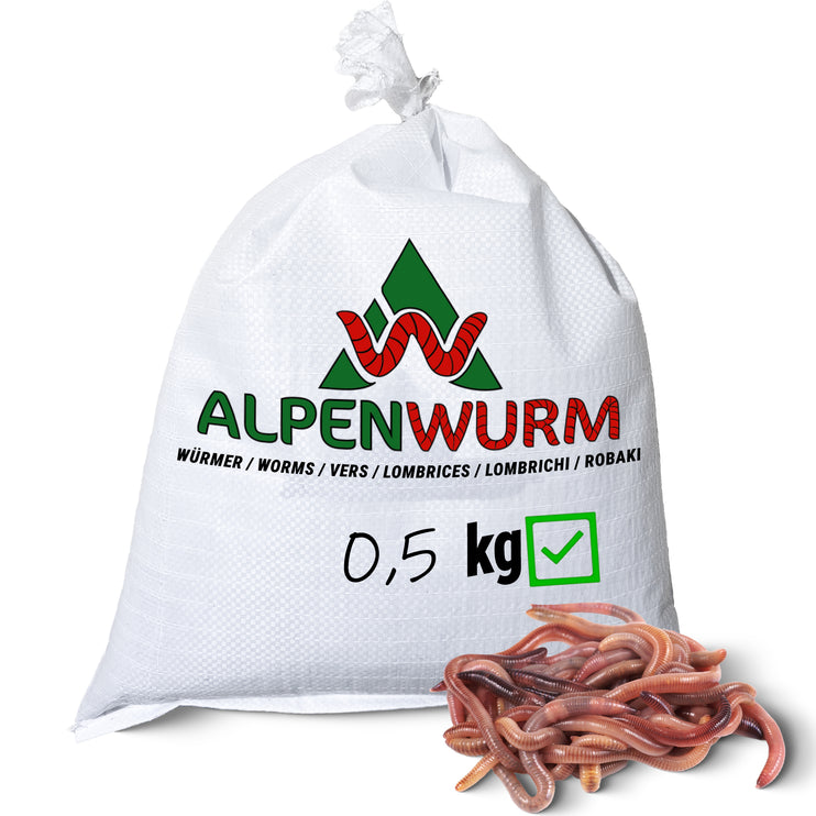 0,5 kg Würmer nach Wahl