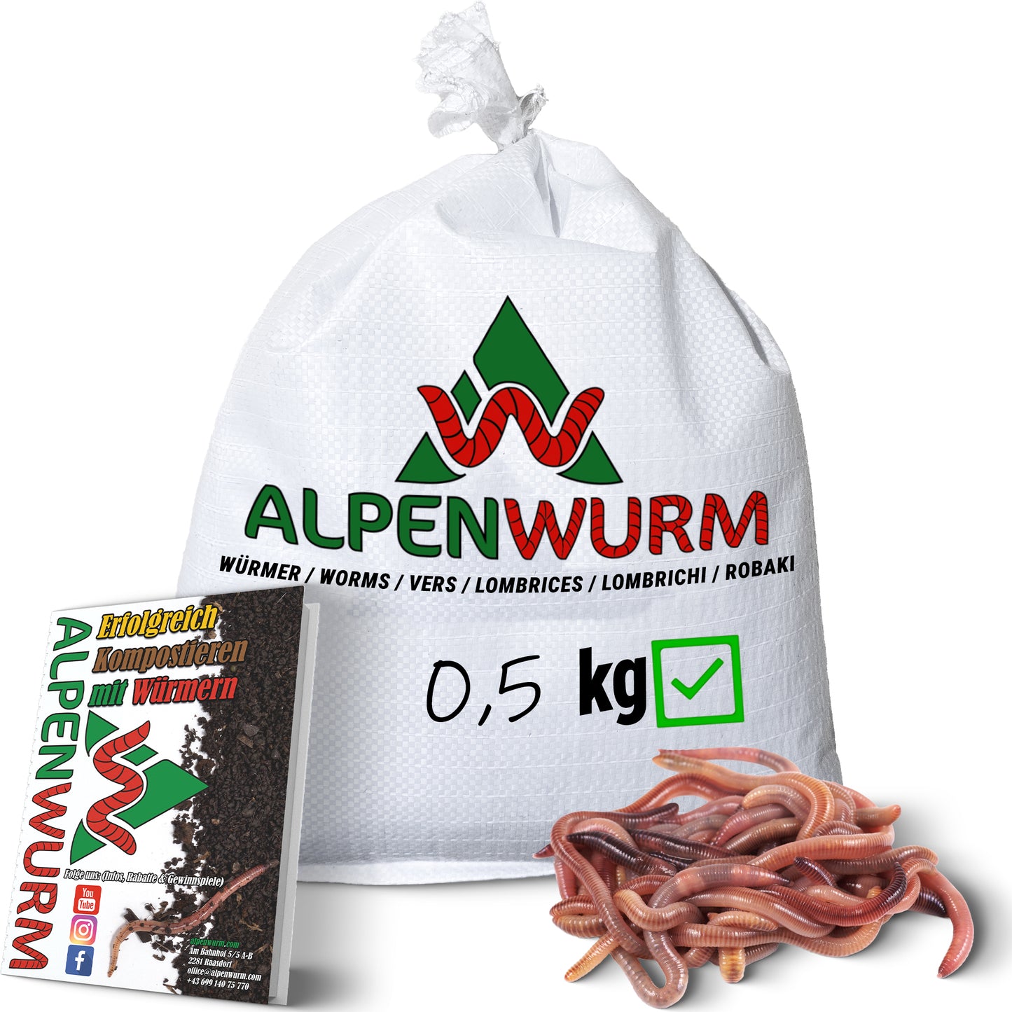 Futterwürmer - Dendrobena (mit Größen - Auswahl)