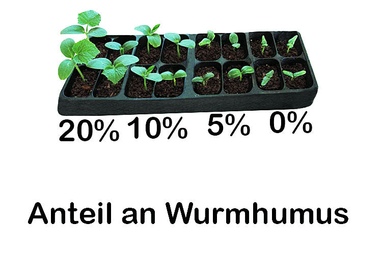 Bio Wurmhumus (1L Eimer)