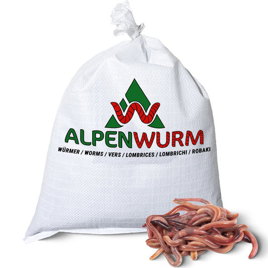 Angelwürmer - Dendrobena (mit Größen - Auswahl)