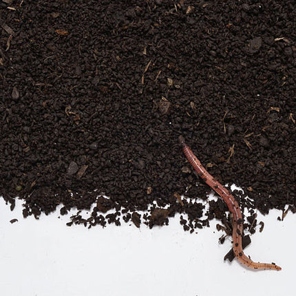Bio Wurmhumus (im Sack)